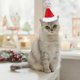 thumbnail image 1 of Fiudx Ofertas relámpago del día Gorro de muñeco de nieve con forma de árbol de Navidad para mascota, peluche mediano de Shiba Inu, bonito disfraz para las fiestas, 1 of 6