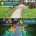 thumbnail image 6 of BLITZWILL Solar Lights Outdoor, 24Pack LED Waterproof Pathway Lights for Garden, Landscape, Path, Yard, Patio, RGB, 6 of 10