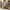 Grey, variant on Oversized Accent Chair,Upholstered Living Room Chairs Single Sofa Chair with Walnut Legs,Curved handrail,Green