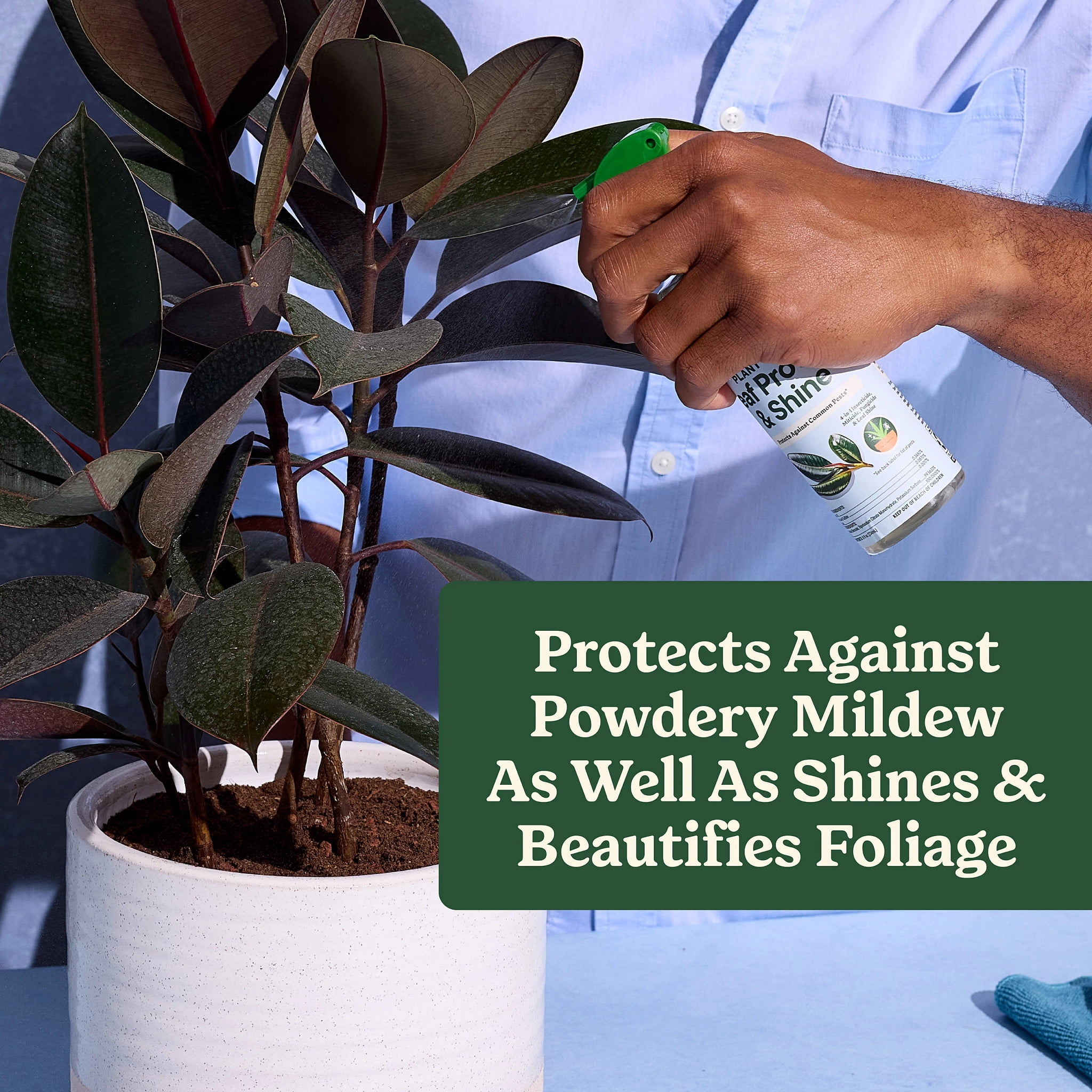 Miracle-Gro Plant Care Leaf Protect and Shine, 4-in-1 Pest Control Spray, 8 fl. oz.