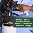 thumbnail image 5 of Miracle-Gro Plant Care Leaf Protect and Shine, 4-in-1 Pest Control Spray, 8 fl. oz., 5 of 10