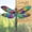 Summer Parade, variant on Dragonfly Gifts for Women, Dragonflies Decor Suncatcher Effect, Dragon Fly Stained Glass Effect, Dragonfly Ornaments for Christmas Tree Decoration, for Mom (Radiant Prism)