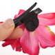 thumbnail image 5 of VERDANVERSE 10Ud Clips De Con De Accesorios Para Peinados Femeninos, 5 of 6