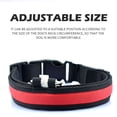 thumbnail image 6 of Light up Dog Collar Lights for Night Walking - LED Dog Collar Light Rechargeable Color Changing, Glow in The Dark Dog Collars Waterproof Glowing Dog Collars for Large Small Medium Dogs, 6 of 6