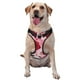 thumbnail image 1 of Fotbe Rose Arnés para Perro con Estampado –Chaleco Ajustable Acolchado con Asa de Control para Perros Grandes-X-Large, 1 of 6