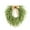 L, variant on Elainilye Christmas Wreath for Front Door Large Artificial Green Norfolk Pine Design for Indoor Outdoor Window and Wall Holiday Decor (16 Inch)