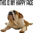 thumbnail image 3 of CafePress - FIN Happy Face Bulldog CROP T Shirt - Men's Classic Graphic T-Shirt, 3 of 4