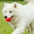 thumbnail image 3 of Squeaky Dog Chew Ball Durable TPR Rubber Honeycomb Textured Teeth Cleaning Puppy Toy Bouncy Interactive Dog Ball for Fetch Tug-of-War Small Medium Large Indoor Outdoor Play 2.17 Inch CAI260314-Red, 3 of 4
