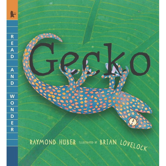 Gecko: Lee y Maravíllate