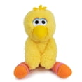 thumbnail image 3 of Gund Sesame Street Big Bird Take Along Buddy, 13", 3 of 8