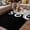 Black, variant on Black White Octopus Outdoor Rug for Patio/Deck/Porch, Non-Slip Large Area Rug 3 x 5 Ft, Coastal Ocean Animals Nautical Indoor Outdoor Rugs Washable Area Rugs, Reversible Camping Rug Carpet Runner