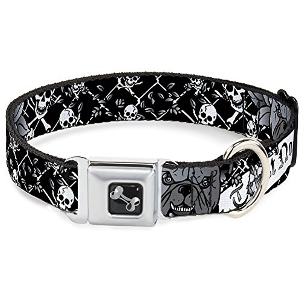 BuckleDown Seatbelt Buckle Dog Collar