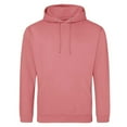 thumbnail image 1 of Awdis  Adult College Hoodie, 1 of 2