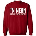thumbnail image 2 of OXI Crewneck Sweatshirt - I Am Mean Because You Are Stupid, Basic Casual Sweatshirts for Men's and Women Fleece Sweatshirt Long Sleeve - Antiquee Cherry 2X-Large, 2 of 2
