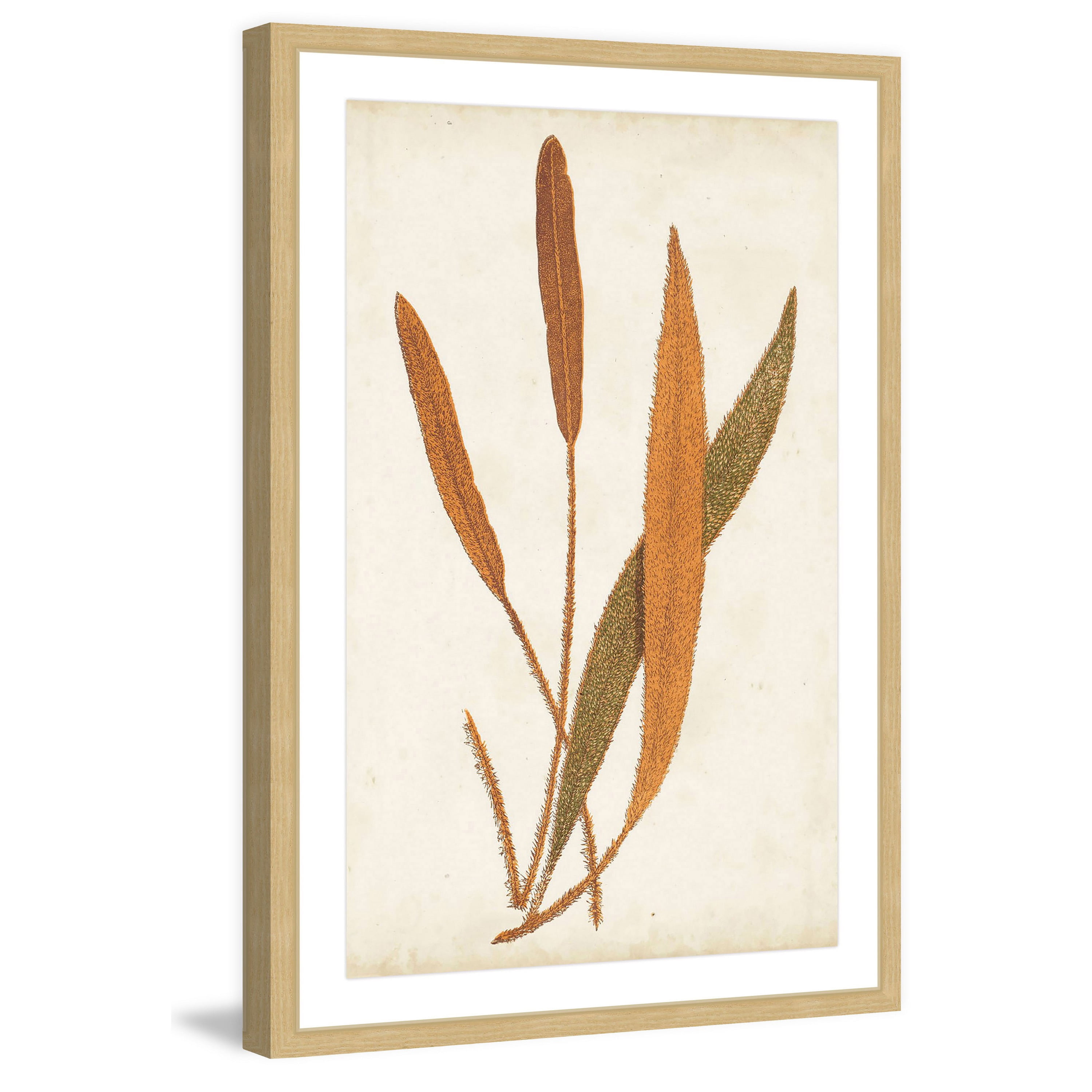 Marmont Hill "Fern Family VI" Framed Painting Print