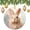 pattern-1674, variant on Christmas Ornaments Love Floral Funny Christmas Ornaments Blue Orange Flower Ornament Christmas Holiday Decorations