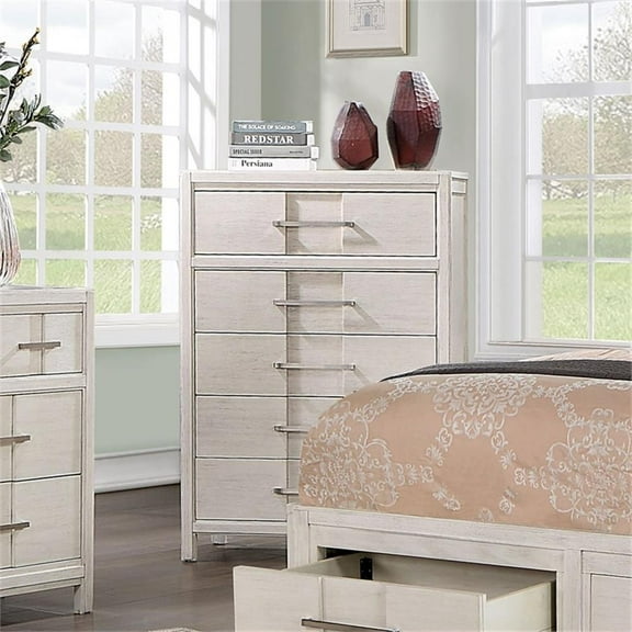 Bowery Hill Transitional Wood 5-Drawer Chest in White Finish