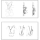 thumbnail image 3 of Pecho de escalada Ascender Abdominal Para acceso vertical Por cuerda Correa de hombro ajustable Soledad, 3 of 10