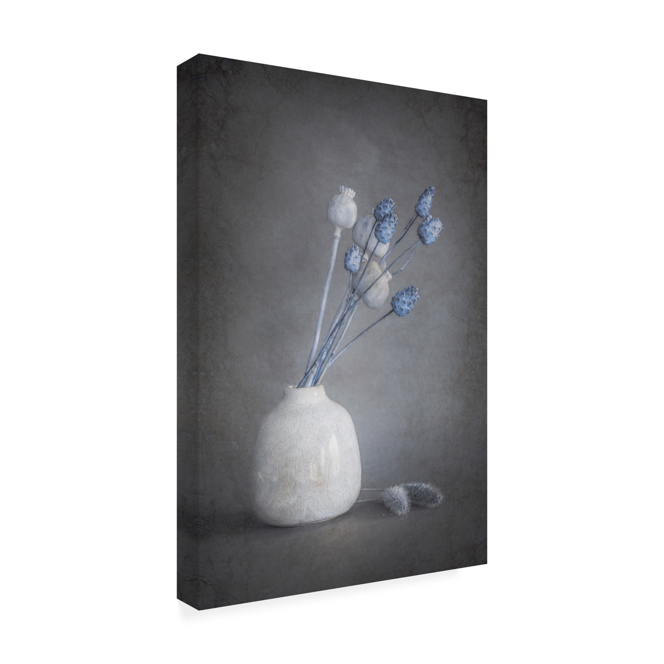 Trademark Fine Art Cicek Kiral Serenity Canvas Wall Art