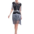 thumbnail image 2 of Awdenio Women's Dresses Clearance Sale, 1920 Vintage sequin dress, studded tassel dress, high-end banquet round neck small dress, round neck dress, 2 of 5