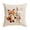 B, variant on Weloille Easter Pillow Cover 1.48 x 1.48 ft 1 Piece, Soft Printed Throw Pillowcase, Wear-Resistant Hidden Zipper Cushion Cover, Suitable for Sofa Bed Living Room Patio No Pillow Core
