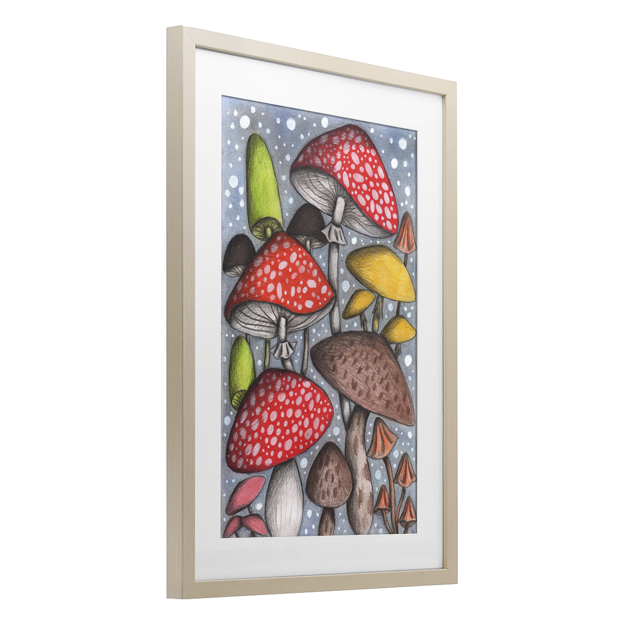 Sketched Magical Mushrooms Birch Framed Print Under Glass, design by Cecilia Battaini
