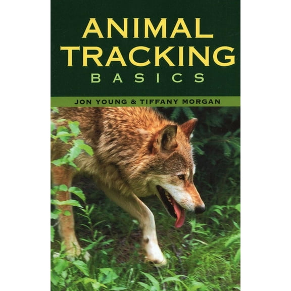 Animal Tracking Basics, (Paperback)