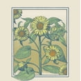 thumbnail image 2 of Sunflower Frame Crew Neck Short Sleeve Adult T-shirt-Medium-Off-White, 2 of 6