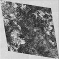 thumbnail image 1 of Ahgly Company Machine Washable Indoor Square Transitional Silver Gray Area Rugs, 8' Square, 1 of 7