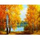 thumbnail image 1 of Cuadros Decorativos Pintura de diamantes hecha a mano JShteea Nuevos Originales, 1 of 9