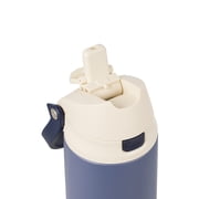TAL 24oz Stainless Steel 2-in-1 Water Bottle with Straw and Chug Lid, Navy