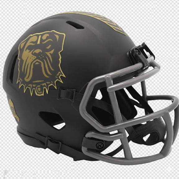 Cleveland Browns 2025 Salute to Service Mini NFL Football Helmet
