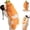Basic Model, variant on OKYA Carrot Hugging Pillow, 43" Long with Heat & Pat, Bluetooth Recording