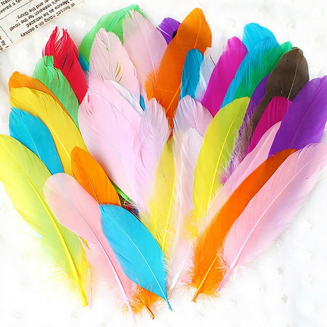 50 Set Natural Colourful DIY Feather Craft Toy for Kids - Manual Decoration Material for Animal Crafts