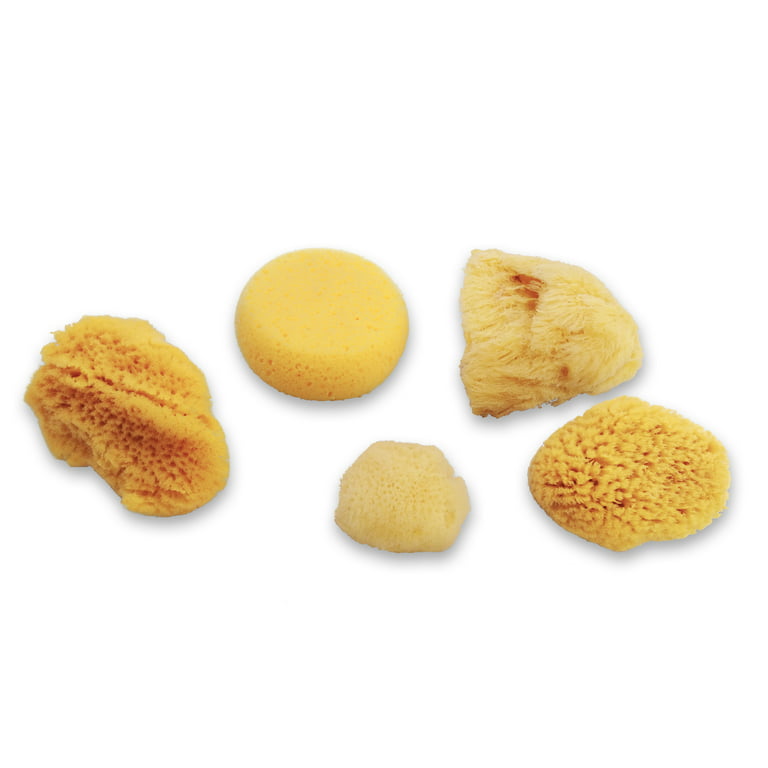 Natural Sea and Synthetic Sponges for Artists Assorted Sizes 7pc Value Pack  Great for Art, Painting, Ceramics, Crafts, Clay Pot 