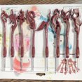 BERTDOMD 8Pcs Retro Mixed Aluminum Handle Crochet Hook Knitting Neddles ...