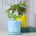 thumbnail image 4 of Climbing Frame Flower Pot Stand Support Metal Plant Stand Bird Pattern Rustproof Stand, 4 of 10
