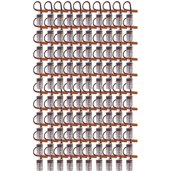 100 Pcs CPM2A-BAT01 ER3V 3.6V 1000mAh PLC Battery with Small Brown Plug for CPM2A CQM1H PLC Spare Memory Batteries