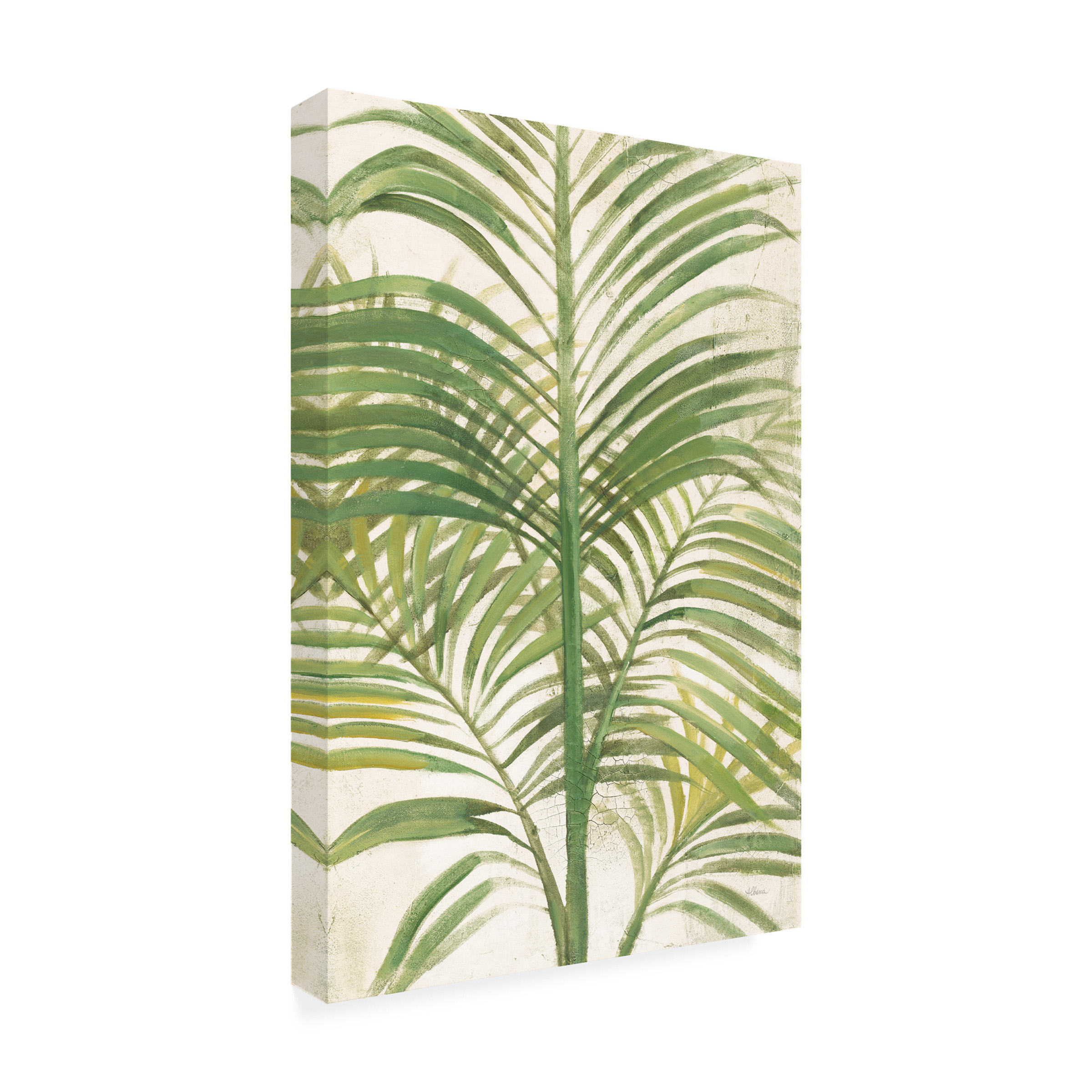 Trademark Fine Art 'Palms II Bright' Canvas Art by Albena Hristova