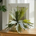 thumbnail image 4 of Artificial Antler Fern with Wooden Frame, 4 of 6