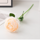 thumbnail image 1 of Nvzi 12 flores artificiales de peonía, flores falsas, flores artificiales para decoración de bodas., 1 of 5