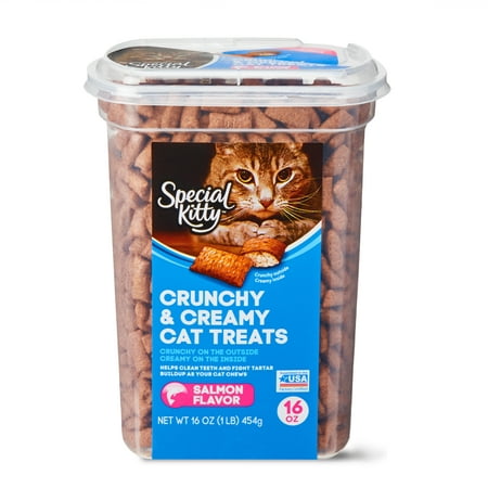 Special Kitty Crunchy & Creamy Cat Treats, Salmon Flavor, 16 oz ...