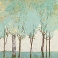 thumbnail image 2 of Del Rizzo, Anthony 12x12 Gold Ornate Wood Framed with Double Matting Museum Art Print Titled - Evergreen Wanderlust II, 2 of 4