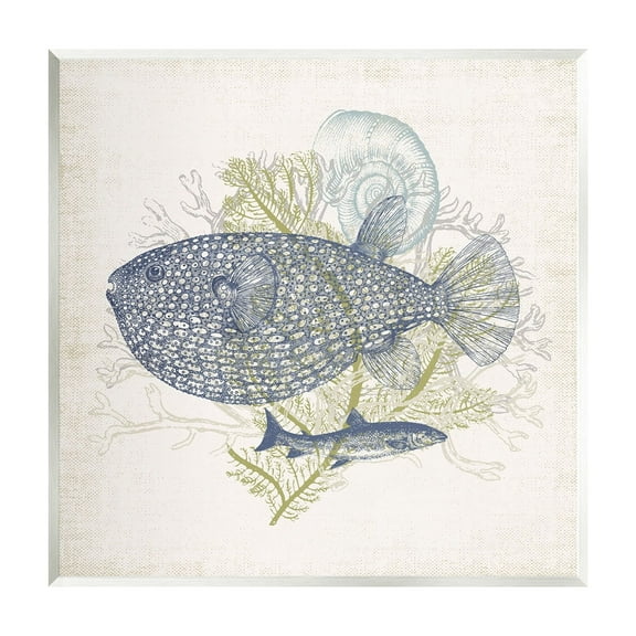 Stupell Industries Aquatic Sea Life Rustic Seashell Layered Fish Graphic Art Unframed Art Print Wall Art, Design by Victoria Barnes