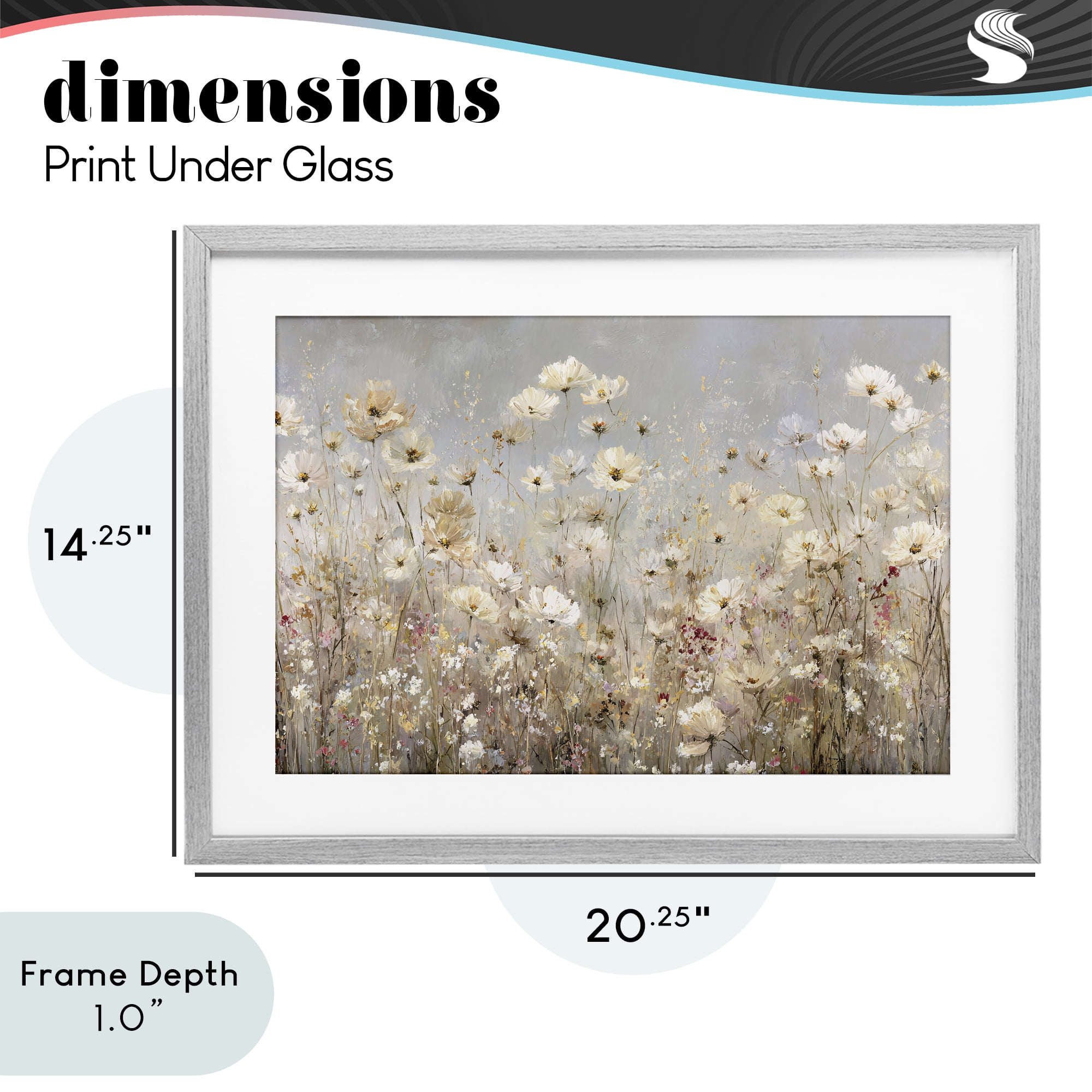 Stupell Industries White Daisy Clusters Meadow Gray Framed Print Under Glass, design by Jacky Ngan