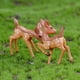 thumbnail image 5 of Inteprter Encantadoras plantas de resina, animales, plantas lindas, micropaisaje de animales, adornos suculentos, decoración de plantas, Decoración del hogar No.01, 5 of 6