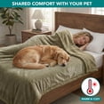 thumbnail image 4 of PetAmi Waterproof Dog Blanket for Couch, Extra Large 80x60, Pee Proof Sherpa Fleece Reversible Pet Throw, Furniture Protector for Bed Sofa Crate Kennel, Soft Washable Cover for Dog Cat, Taupe Sherpa, 4 of 9