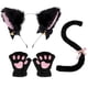 thumbnail image 1 of Lindos accesorios de cosplay de gato de dibujos animados, aro para el pelo con orejas de gato, guantes con garras de gato, accesorios de cola de gato, lindo conjunto, fácil de usar, estilo, 1 of 6
