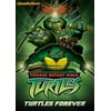 Teenage Mutant Ninja Turtles: Turtles Forever (DVD), Nickelodeon, Action & Adventure