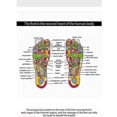 thumbnail image 5 of Foot Massage, Electric Foot Massager, Leg Reshaping Foot Massage, Electric Massage Machine, Promotes, 5 of 5
